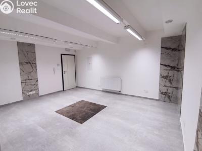 Pronájem komerční nemovitosti Sušice, Hrádecká 493 č. 5