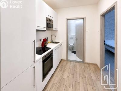 Аренда квартиры 1+KK Praha, Václavské náměstí č. 6