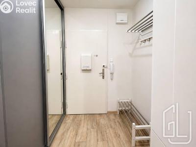 Аренда квартиры 1+KK Praha, Václavské náměstí č. 9