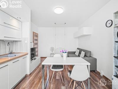 Продаж квартири 3+KK Plzeň, Staniční č. 3