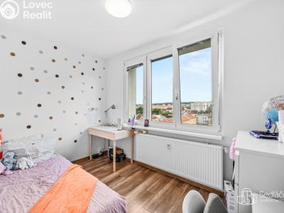 Продаж квартири 3+KK Plzeň, Staniční č. 6