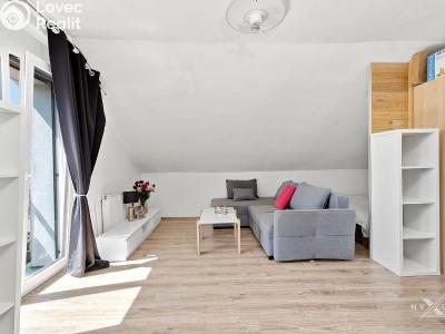 Pronájem bytu 1+KK Strančice, K Habrovci 378 č. 2