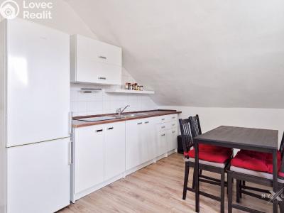 Pronájem bytu 1+KK Strančice, K Habrovci 378 č. 4
