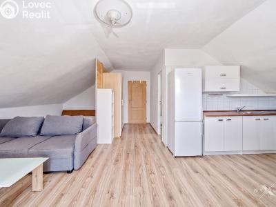 Pronájem bytu 1+KK Strančice, K Habrovci 378 č. 5