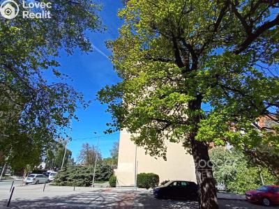 Продаж квартири 2+KK Odolena Voda, V Malém háji č. 7