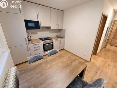 Rent apartment 2+1 Praha, Starostrašnická č. 1