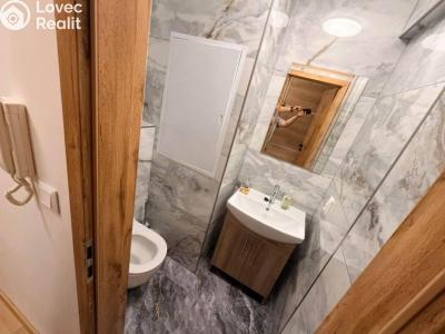Rent apartment 2+1 Praha, Starostrašnická č. 6