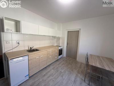 Pronájem bytu 1+1 Peruc, V Edenu 258 č. 1