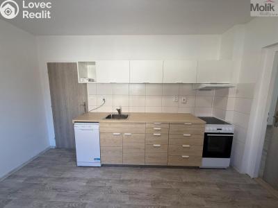 Pronájem bytu 1+1 Peruc, V Edenu 258 č. 2