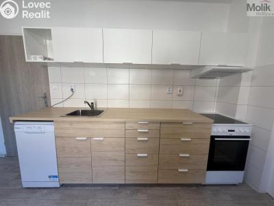 Pronájem bytu 1+1 Peruc, V Edenu 258 č. 3