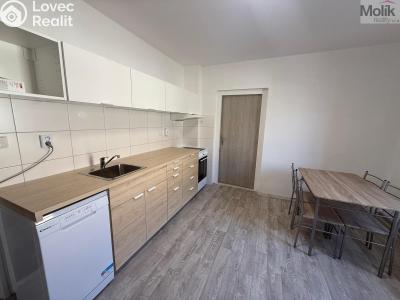 Pronájem bytu 1+1 Peruc, V Edenu 258 č. 4