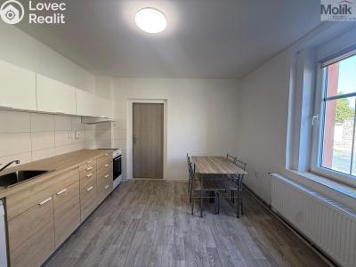Pronájem bytu 1+1 Peruc, V Edenu 258 č. 5