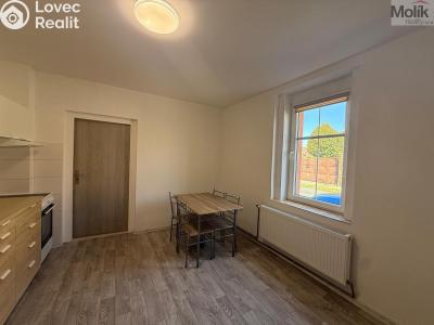 Pronájem bytu 1+1 Peruc, V Edenu 258 č. 6