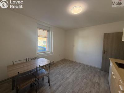Pronájem bytu 1+1 Peruc, V Edenu 258 č. 7