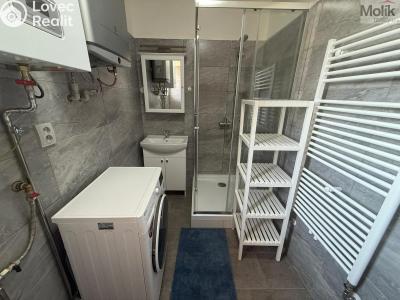 Pronájem bytu 1+1 Peruc, V Edenu 258 č. 12