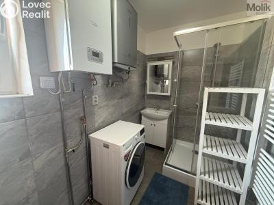 Pronájem bytu 1+1 Peruc, V Edenu 258 č. 14