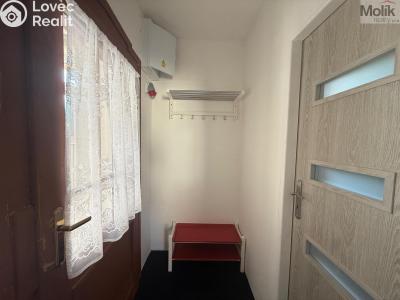 Pronájem bytu 1+1 Peruc, V Edenu 258 č. 15