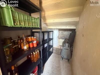 Pronájem bytu 1+1 Peruc, V Edenu 258 č. 16