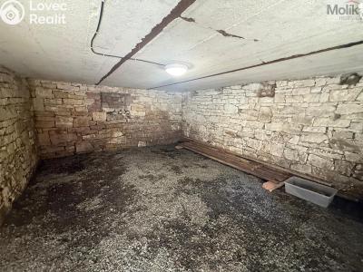 Pronájem bytu 1+1 Peruc, V Edenu 258 č. 17