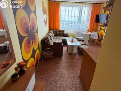 Prodej bytu 1+1 Chomutov, Jirkovská 5016 č. 9