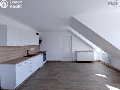 Pronájem bytu 3+KK Dubí, Sportovní č. 5