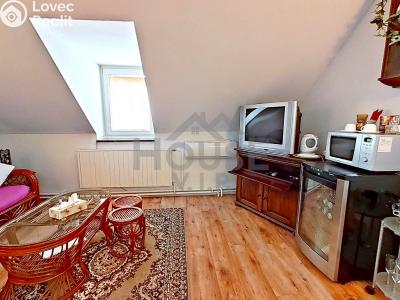 Prodej vícegeneračního domu Hýskov, Prostřední 73 č. 19