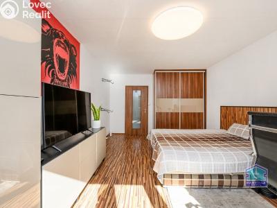 Продаж квартири 3+1 Plzeň, Ke Špitálskému lesu č. 10