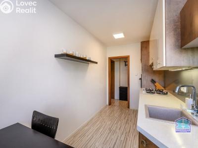 Продаж квартири 3+1 Plzeň, Ke Špitálskému lesu č. 17