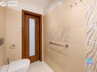 Продаж квартири 3+1 Plzeň, Ke Špitálskému lesu č. 20