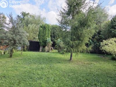 Sale hut Těrlicko, K Brodu č. 17