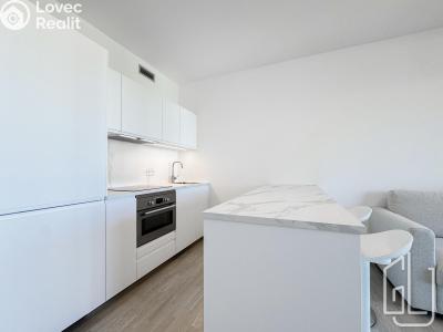 Аренда квартиры 1+KK Praha, Mezi vodami č. 1