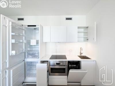 Аренда квартиры 1+KK Praha, Mezi vodami č. 5