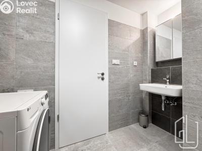 Аренда квартиры 1+KK Praha, Mezi vodami č. 10