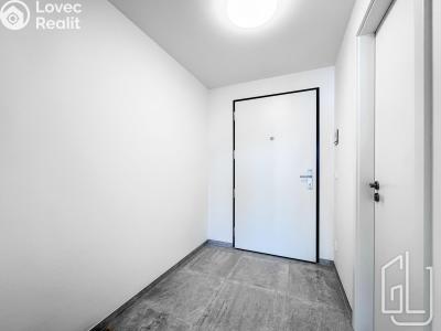Аренда квартиры 1+KK Praha, Mezi vodami č. 11