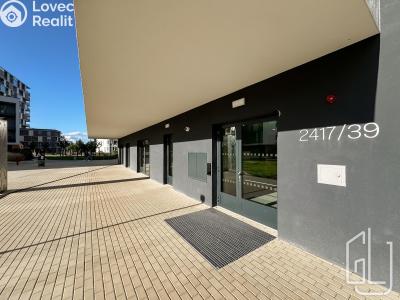 Аренда квартиры 1+KK Praha, Mezi vodami č. 13