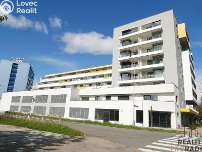 Sale garage Hradec Králové, Kubelíkova č. 1