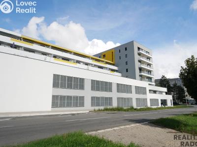 Sale garage Hradec Králové, Kubelíkova č. 2