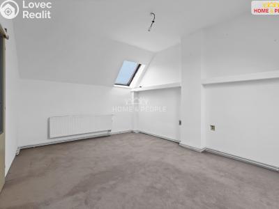 Продажа семейного дома Zlonice č. 18