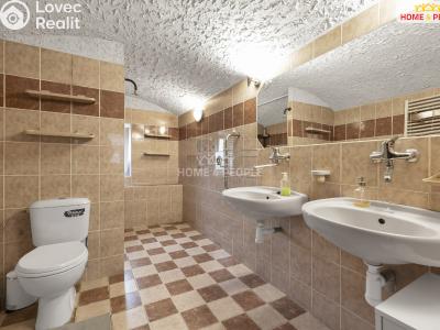 Продажа семейного дома Zlonice č. 22