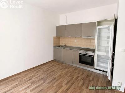 Pronájem bytu 1+KK Praha, V Holešovičkách č. 4