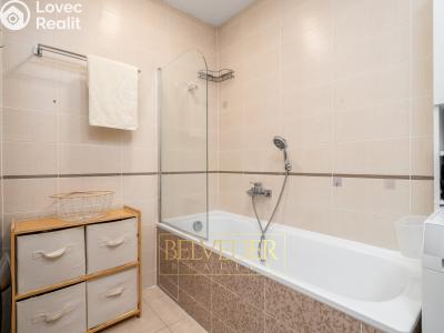 Prodej bytu 3+KK Teplice, Albrechtova č. 13
