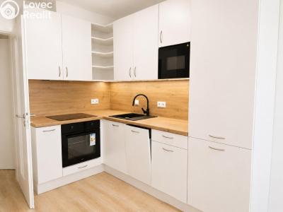 Аренда квартиры 1+KK Praha č. 1
