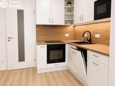 Аренда квартиры 1+KK Praha č. 2
