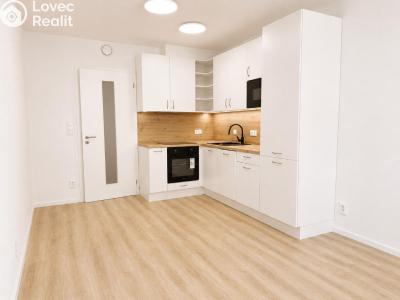 Аренда квартиры 1+KK Praha č. 3
