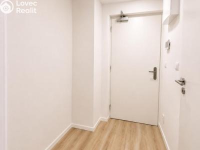 Аренда квартиры 1+KK Praha č. 6