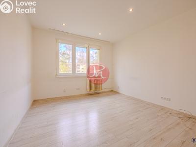 Sale apartment 2+1 Ostrava, Patrice Lumumby č. 8