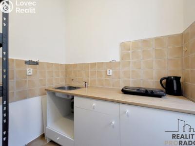 Sale apartment 3+KK Praha, Heřmanova č. 22
