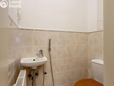 Sale apartment 3+KK Praha, Heřmanova č. 35