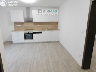 Аренда квартиры 1+1 Plzeň, Dělnická č. 1
