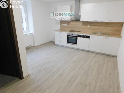 Аренда квартиры 1+1 Plzeň, Dělnická č. 2